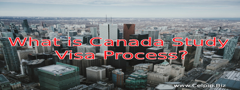 You are currently viewing What is Canada Study Visa Process?