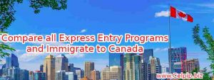 Read more about the article Compare all the Express Entry Programs and Immigrate to Canada