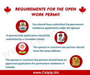 Requirement for open work permit