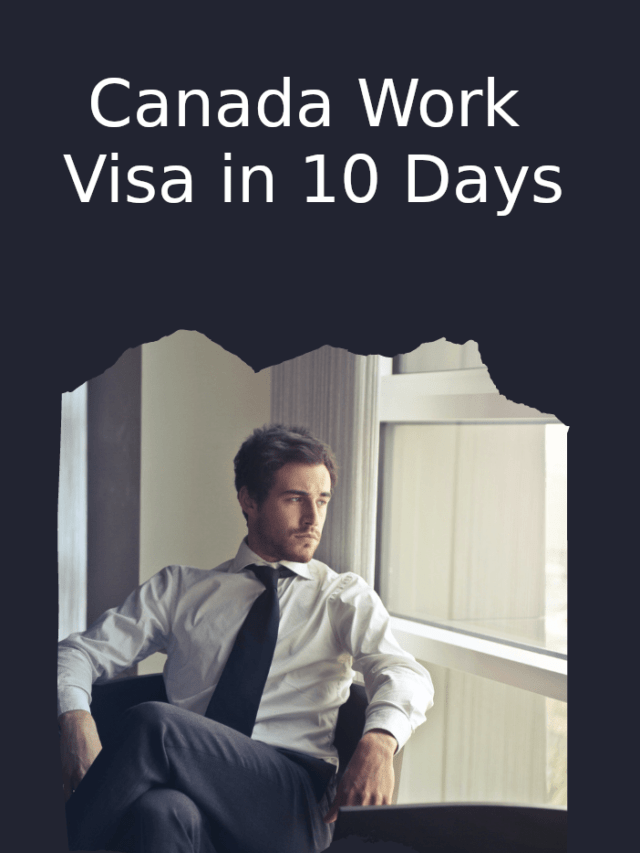 Read more about the article 