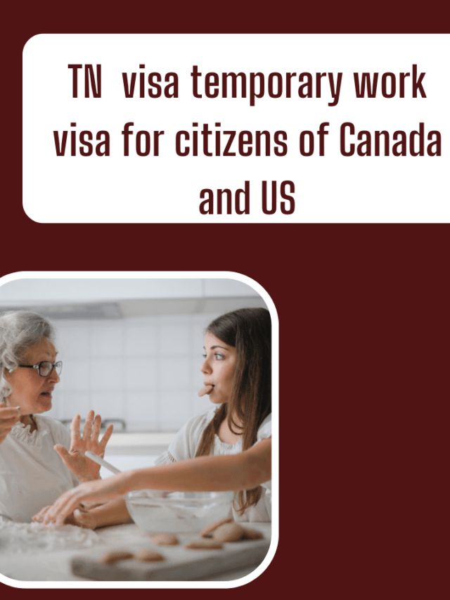 Read more about the article TN Visa Temporary Work Visa for Citizens of Canada and US