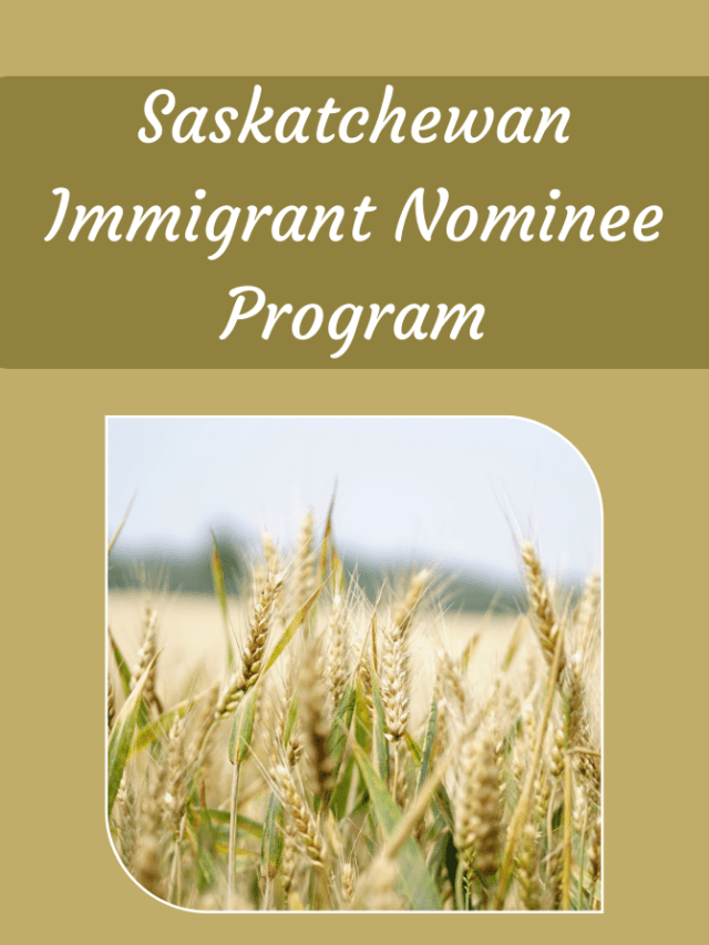 Read more about the article Saskatchewan Immigrant Nominee Program