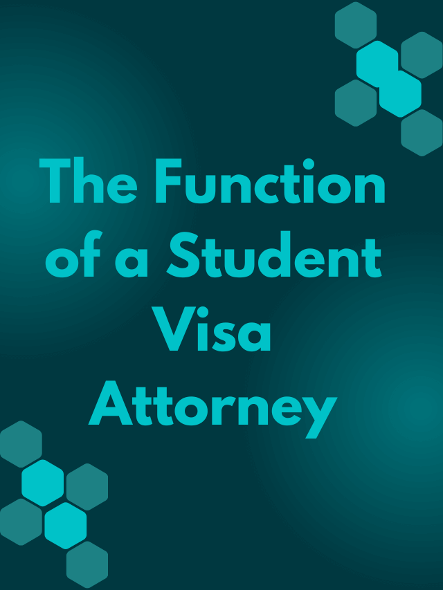 Read more about the article The Function of a Student Visa Attorney