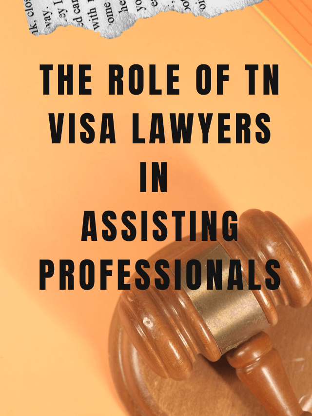 Read more about the article The Role of TN Visa Lawyers in Assisting Professional