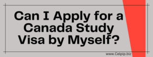 Read more about the article Can I Apply for a Canada Study Visa by Myself?