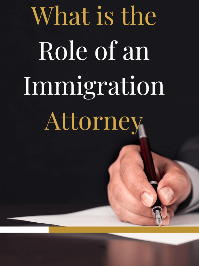 Read more about the article What is the Role of an Immigration Attorney