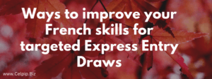 Read more about the article Ways to improve French skills for targeted Express Entry Draws