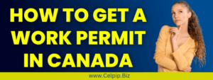 Read more about the article How to get a work permit in Canada