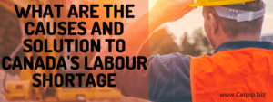 Read more about the article What are the Causes and Solution to Canada’s labour shortage