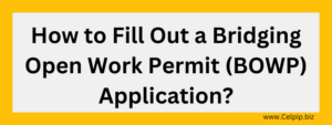 Read more about the article How to Fill Out a Bridging Open Work Permit Application?