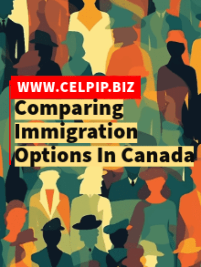 Read more about the article Comparing Immigration Options In Canada