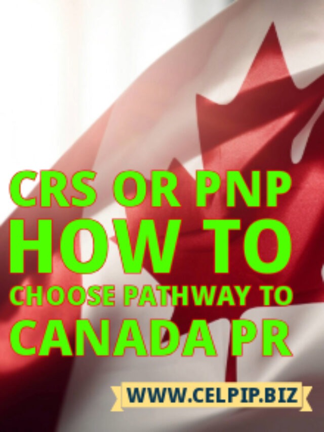 Read more about the article CRS OR PNP: HOW TO CHOOSE PATHWAY TO CANADA PR