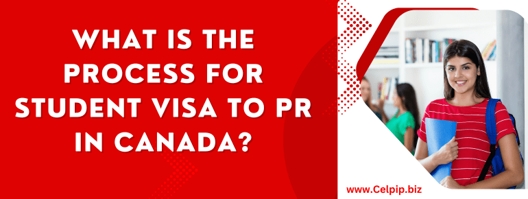 Read more about the article What is the Process for Student Visa to PR in Canada?