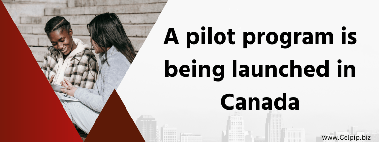 Read more about the article A pilot program is being launched in Canada