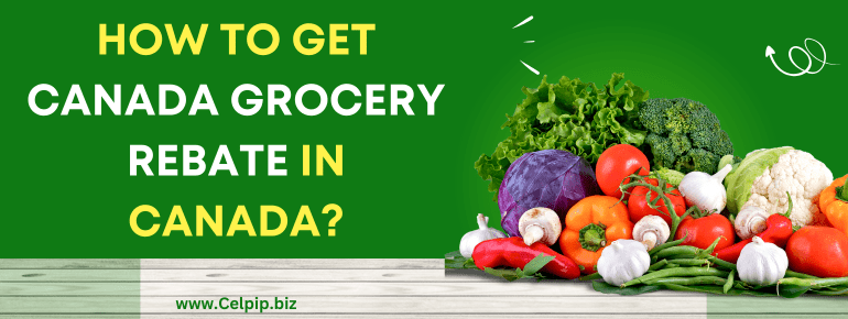 You are currently viewing How to Get Canada Grocery Rebate in Canada?